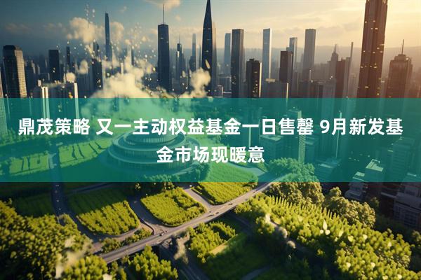 鼎茂策略 又一主动权益基金一日售罄 9月新发基金市场现暖意