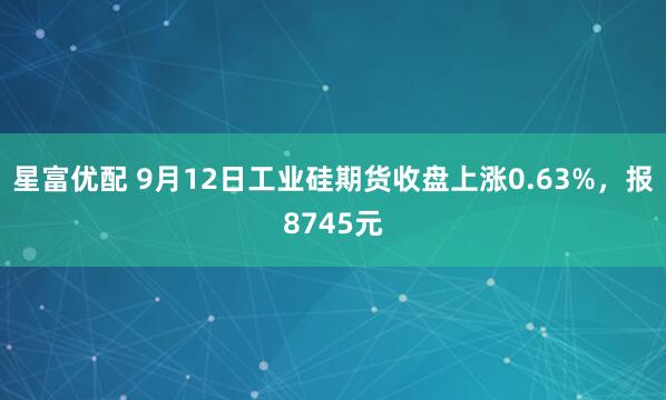 星富优配 9月12日工业硅期货收盘上涨0.63%，报8745元