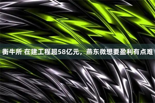 衡牛所 在建工程超58亿元，燕东微想要盈利有点难