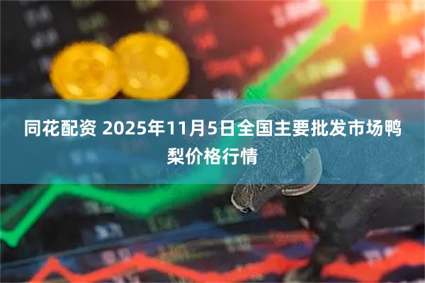 同花配资 2025年11月5日全国主要批发市场鸭梨价格行情