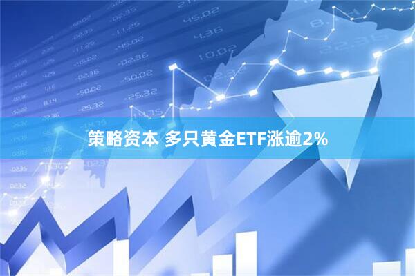 策略资本 多只黄金ETF涨逾2%