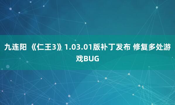 九连阳 《仁王3》1.03.01版补丁发布 修复多处游戏BUG